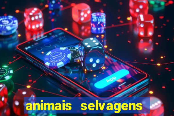 animais selvagens fotos e nomes